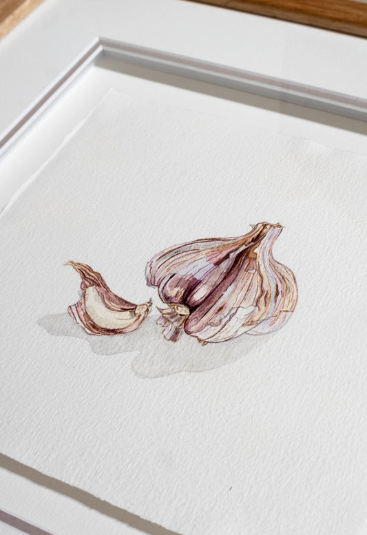 A framed watercolour painting of garlic bulbs and cloves on textured white paper, shown in a white frame, lilac border, with a light wood oak surface visible at the top edge.