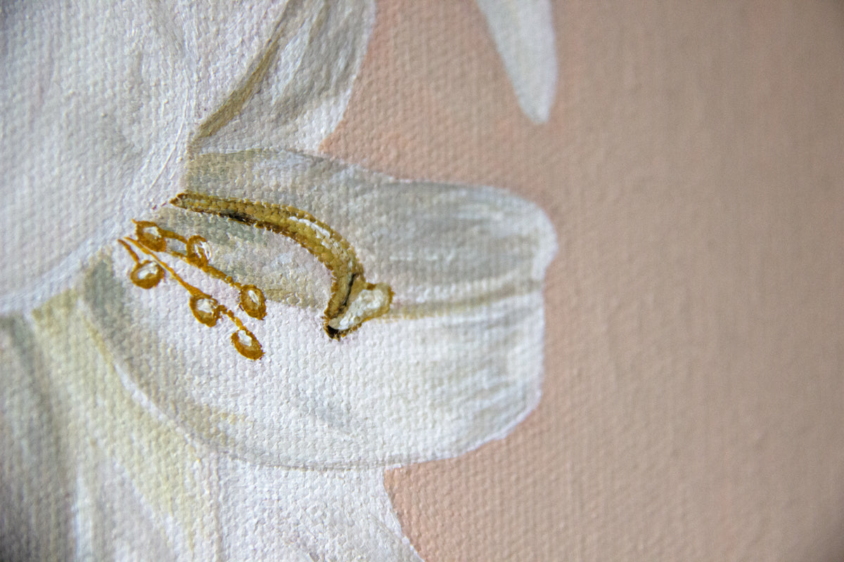 Fiori fine art print by Marissa Lico. Close-up of a white flower with gold accents on a beige background