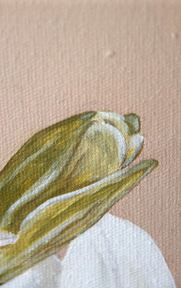 Fiori fine art print by Marissa Lico. Close-up of a lily flower bud with a pink beige background.