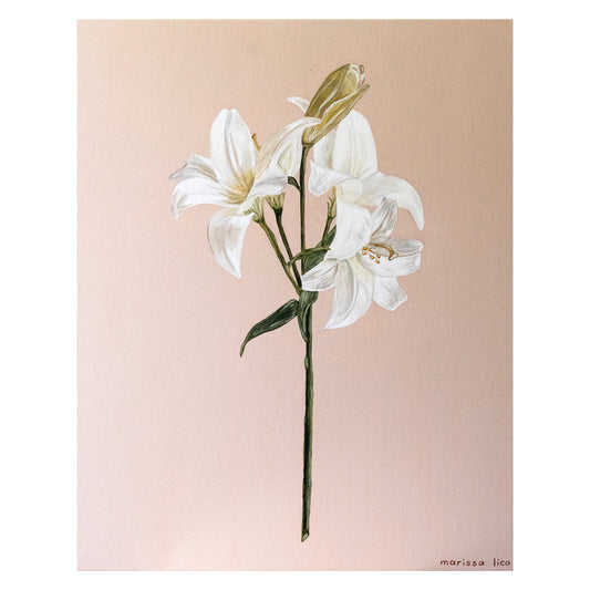 Fiori painting of white lily flower by Marissa Lico