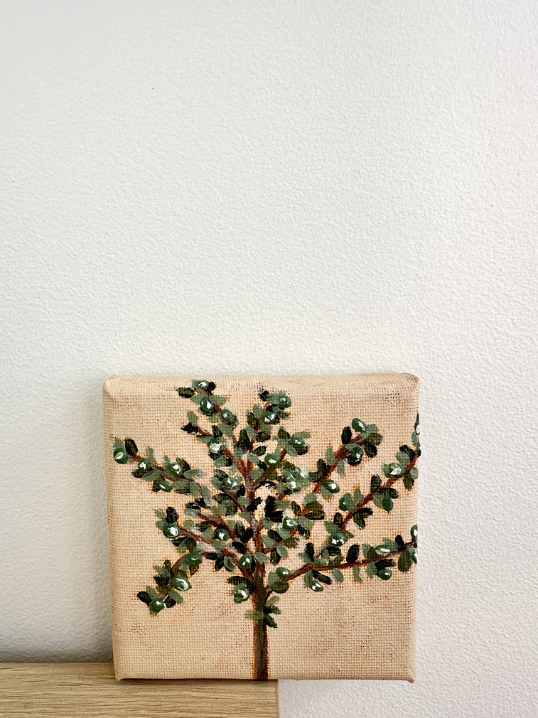 Ulivo original painting of olive tree by Marissa Lico. Canvas painting of an olive tree with green leaves on a beige background.
