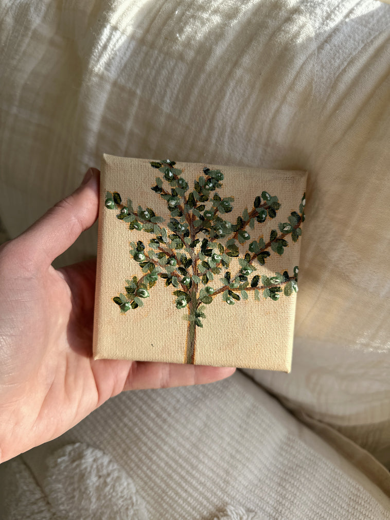 Ulivo original painting of olive tree by Marissa Lico.