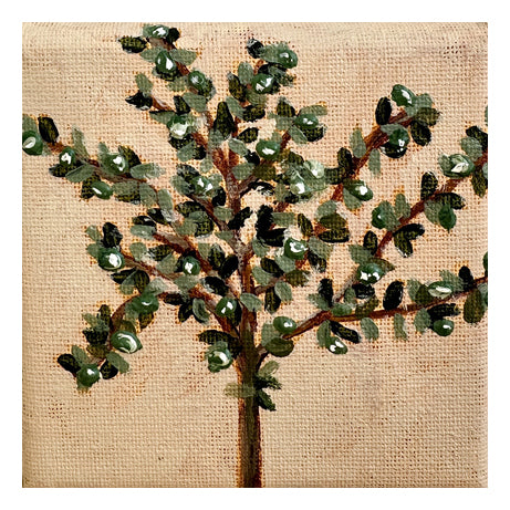 Ulivo original painting of olive tree by Marissa Lico. Painted texture tree on a beige canvas background.