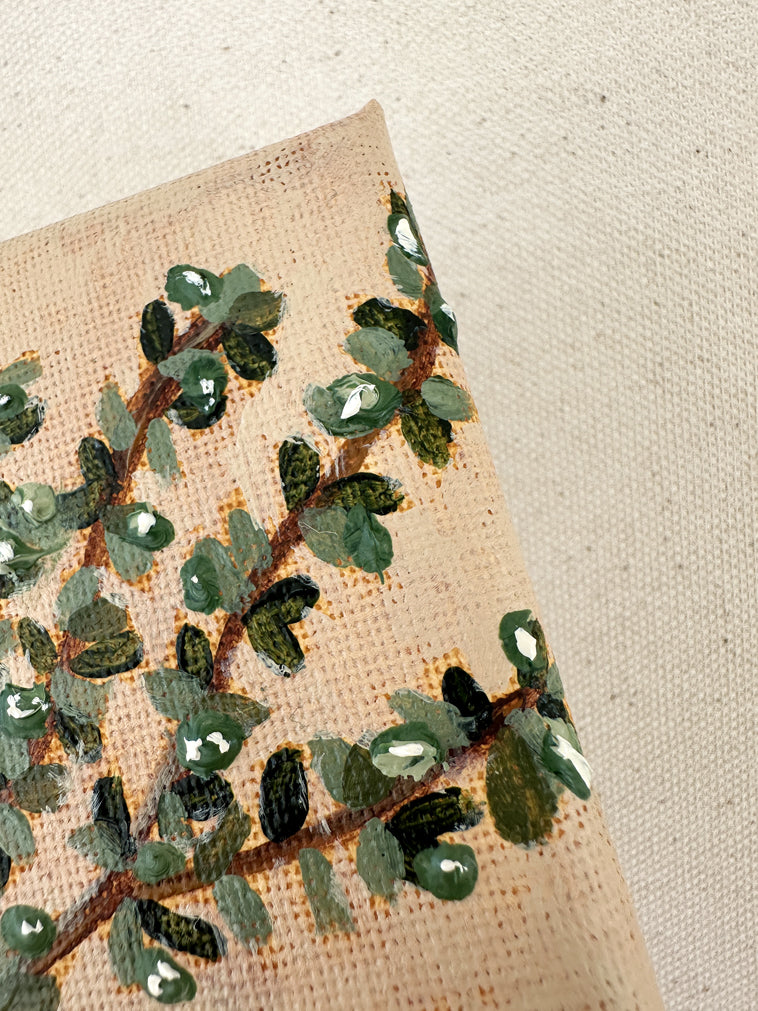 Ulivo original painting of olive tree by Marissa Lico.