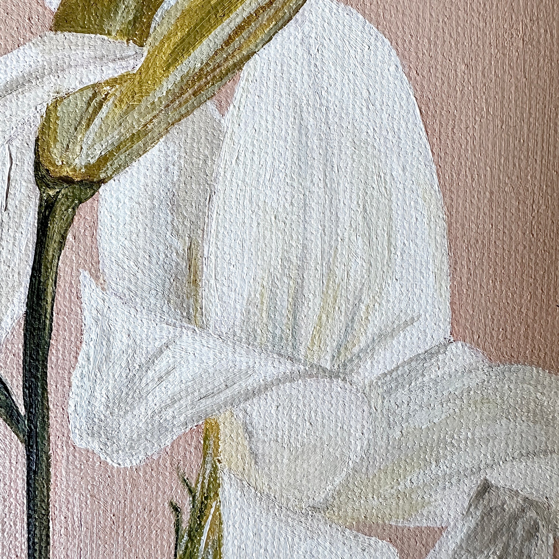 Fiori fine art print by Marissa Lico. Close-up of a white flower with green leaves on a textured beige background