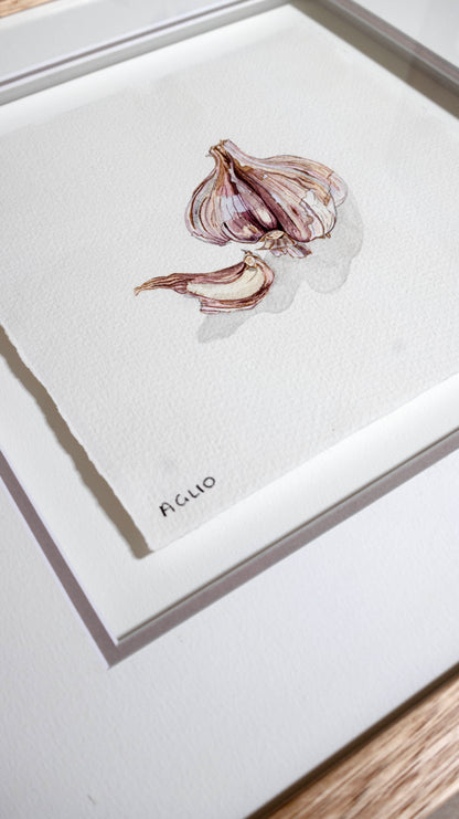A framed watercolour art print featuring a painted garlic bulb and clove on a white textured background, with the word 'AGLIO' written in small black text near the bottom.