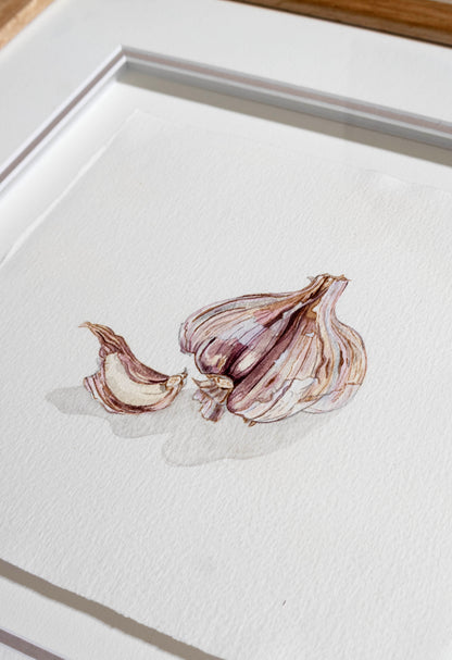 A framed watercolour painting of garlic bulbs and cloves on textured white paper, shown in a white frame, lilac border, with a light wood oak surface visible at the top edge.