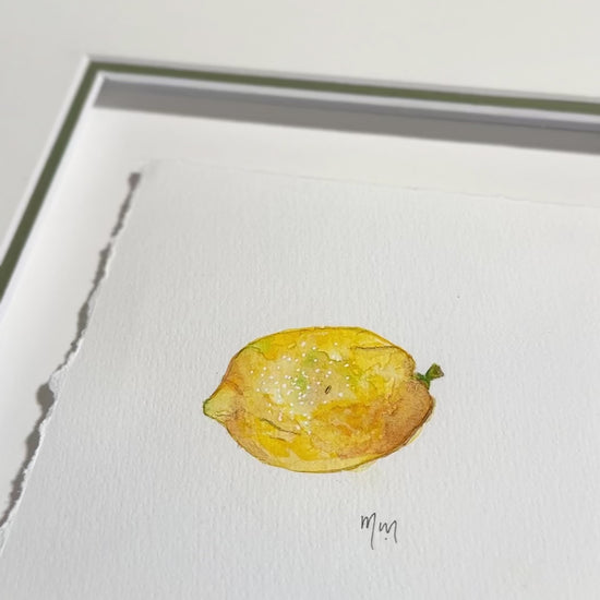 Video of lemon watercolour painting to shoe the details of the artwork by Marissa Lico.