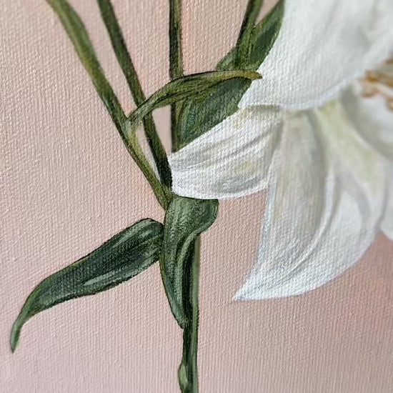 Fiori original painting by Marissa Lico Video of white lily details.