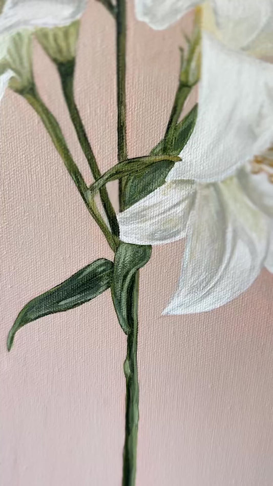Fiori original painting by Marissa Lico Video of white lily details.