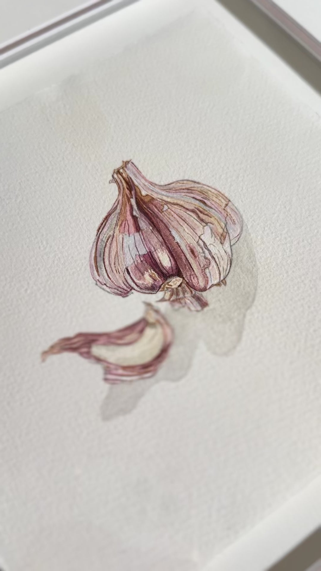 Video of watercolour painting by Marissa Lico featuring a garlic bulb and clove.